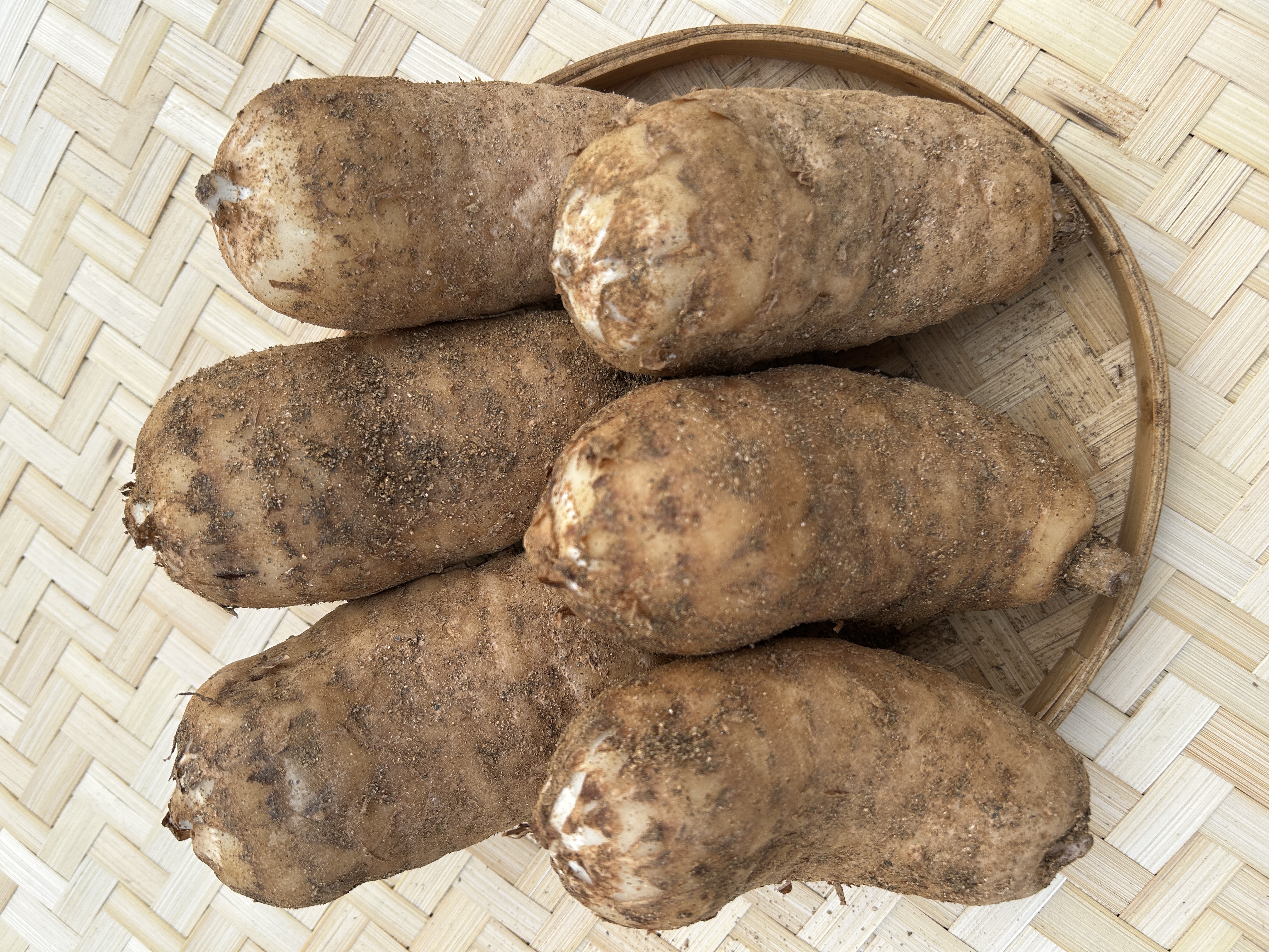 [麻王5斤装共计9至10个】大别山罗田红天麻植物炖汤高营养新鲜天麻