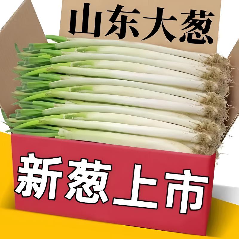 （去叶大葱 金牌店铺）山东农家铁杆大葱新鲜现挖