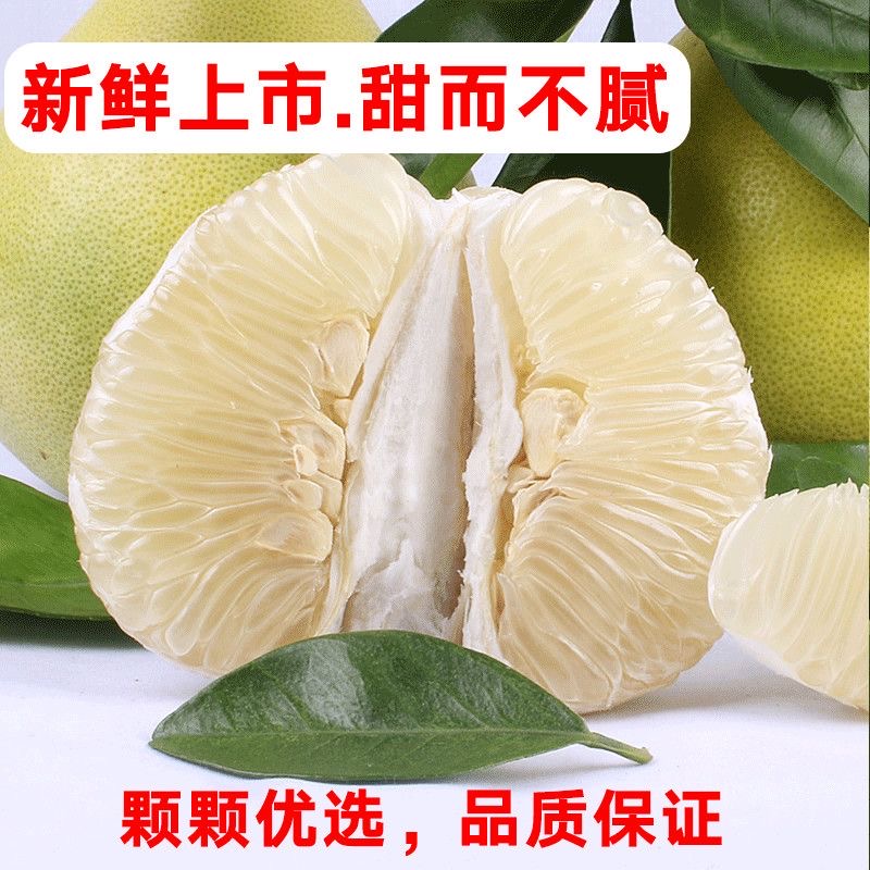 【顺丰快递】正宗安福孕妇柚子高山老树金兰柚井冈山蜜柚吉水金沙柚