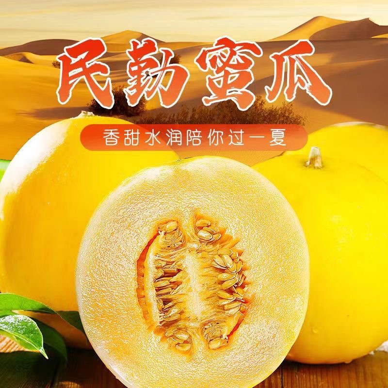 甘肃民勤蜜瓜沙漠金红宝黄河蜜瓜哈密瓜产地直发京东/顺丰发货