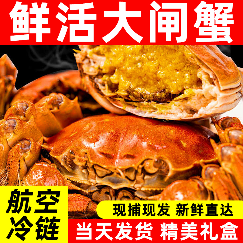 【活蟹】大闸蟹 母2.2-2.5两 6-10只