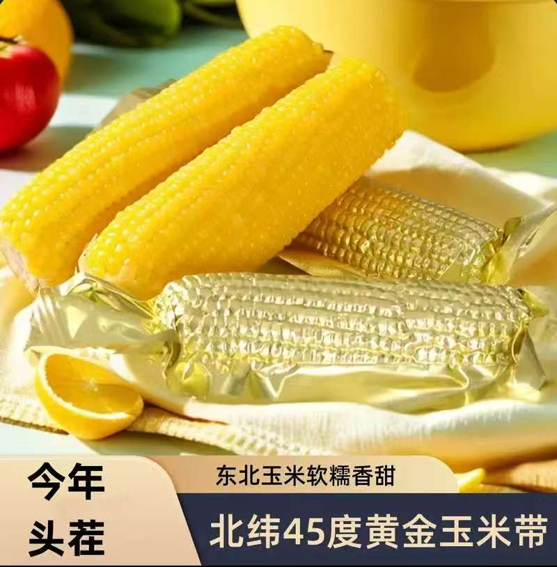 【头茬大棒10根试吃3根】绿色食品东北甜糯新鲜玉米铝箔包装糯玉米