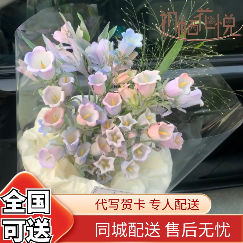 【全国可送】网红同款七色风铃花鲜花同城配送女友闺蜜生日见面礼物