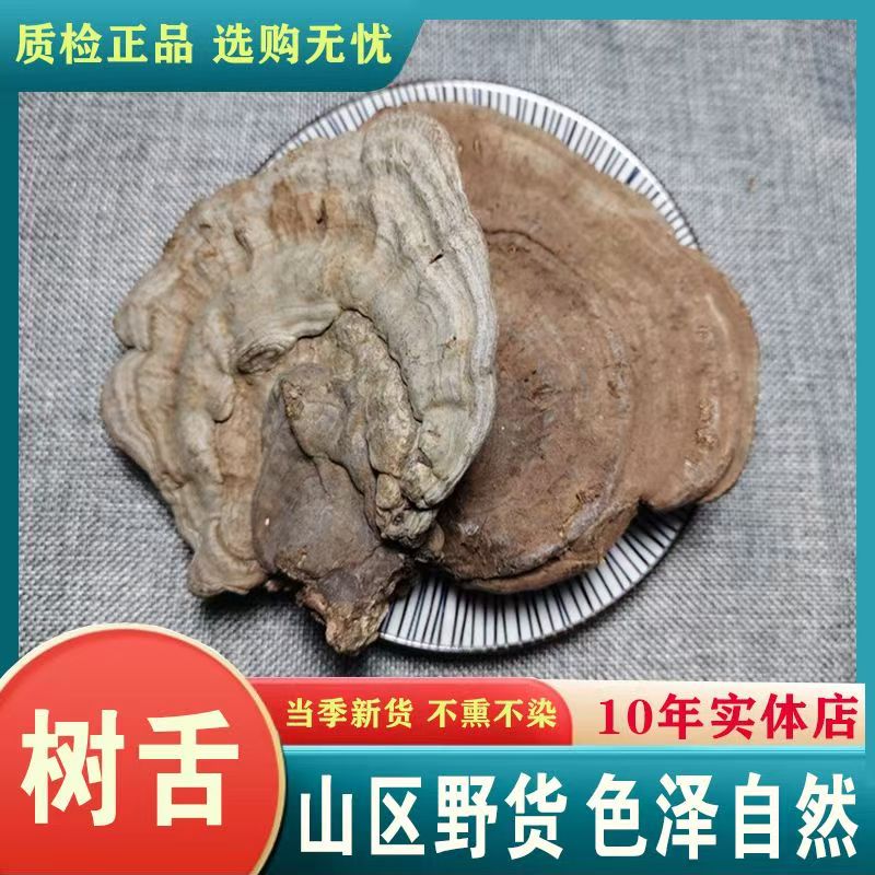 中药材树舌赤色老母菌白斑腐菌皂角菌多规格包邮正品保证量大从优