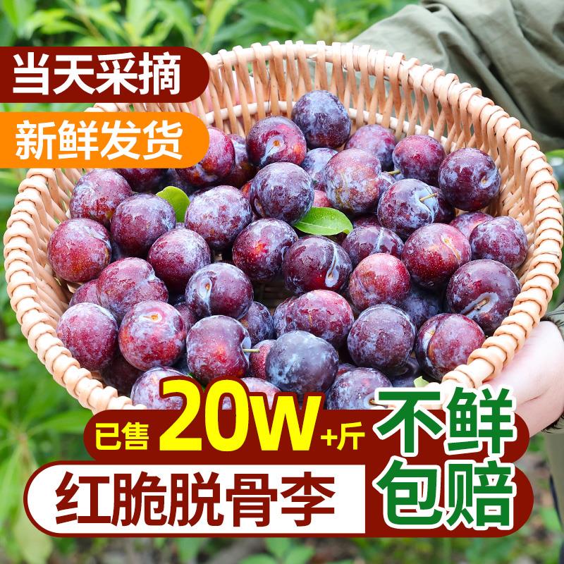 四川五月脆红青脆脱骨李应当季奈土李子新鲜水果现摘大果