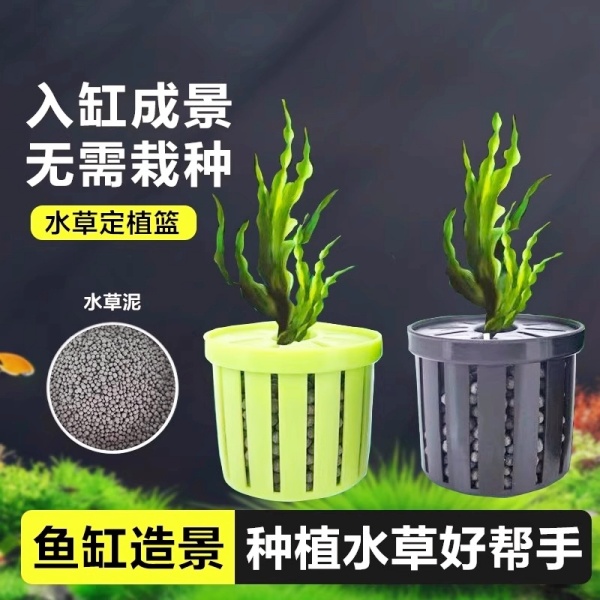 家用鱼缸水草定植篮造景装饰养草杯花卉固根器水草泥沉底固定器