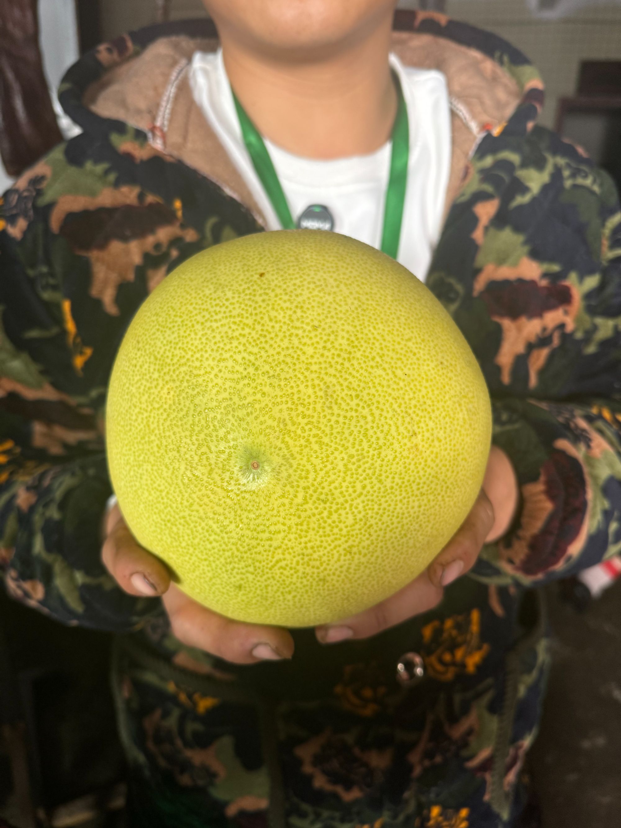 四川柚柚子文旦柚文旦新鲜应季农家自种酸甜多汁真龙柚