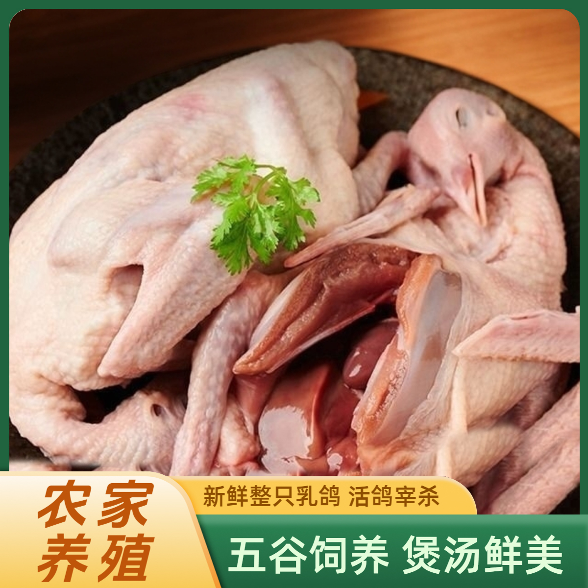 农家散养土鸽新鲜现杀老鸽子6-7两炖肉煲汤滋补乳鸽纯粮土鸽鸽子