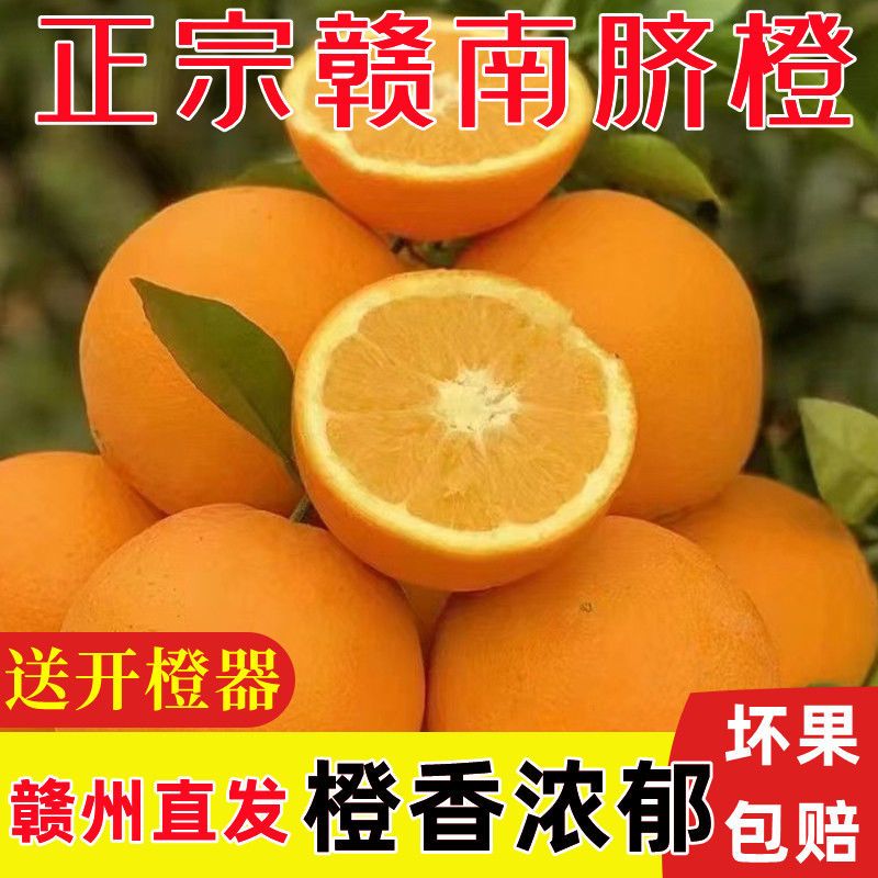 正宗江西赣南脐橙新鲜现摘当季水果皮薄多汁香甜
