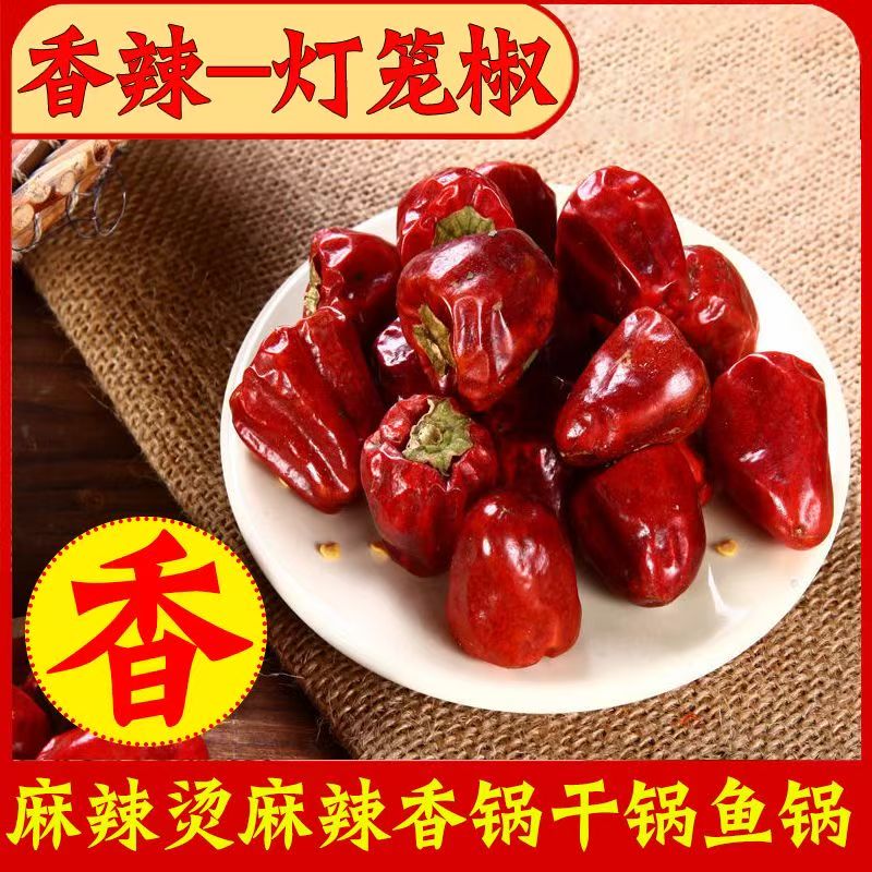 特香灯笼椒灯笼贵州微辣香辣中辣干辣椒辣椒海椒火锅特辣辣椒干