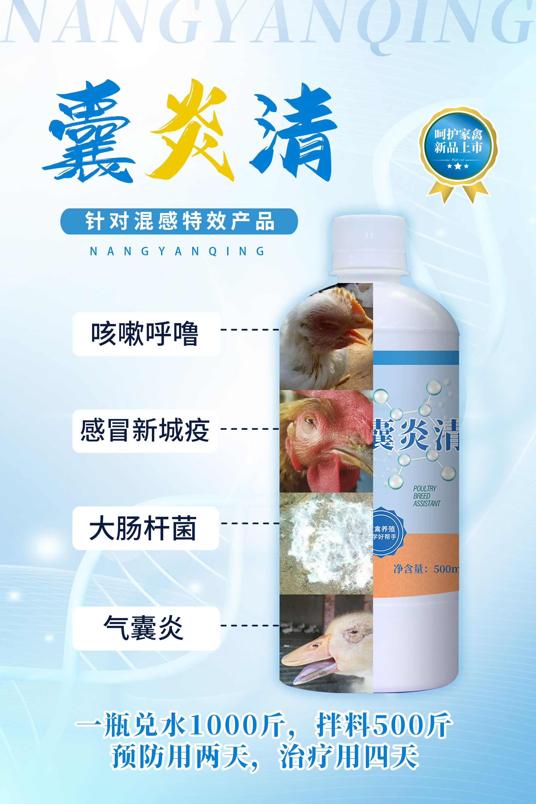 【囊炎清】气囊炎混感，呼吸道症状