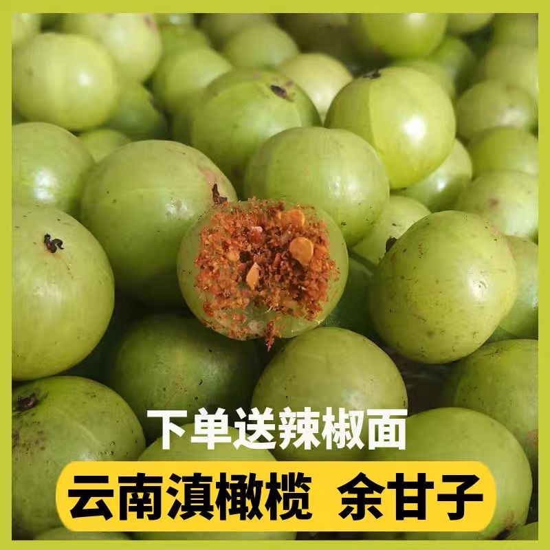 新鲜现摘油甘果高山云南特产滇橄榄余甘子解腻酸回甘孕妇水果包邮