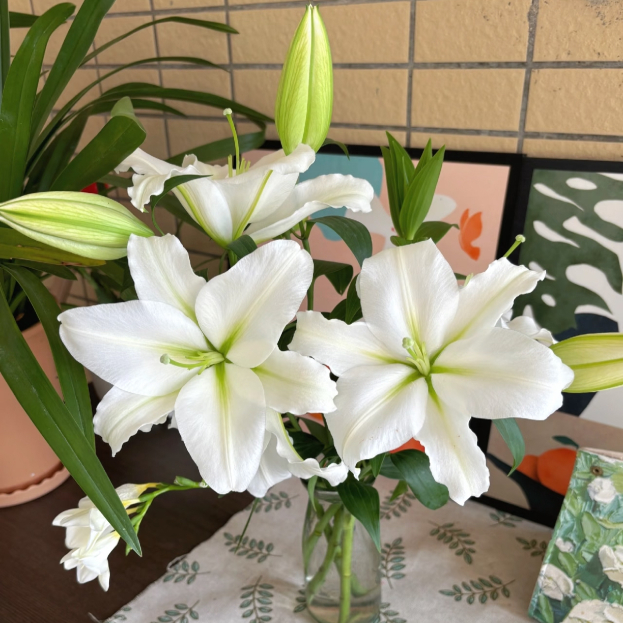 （双头白天霸）白色香水百合 东北鲜花 黑吉辽蒙顺丰包邮