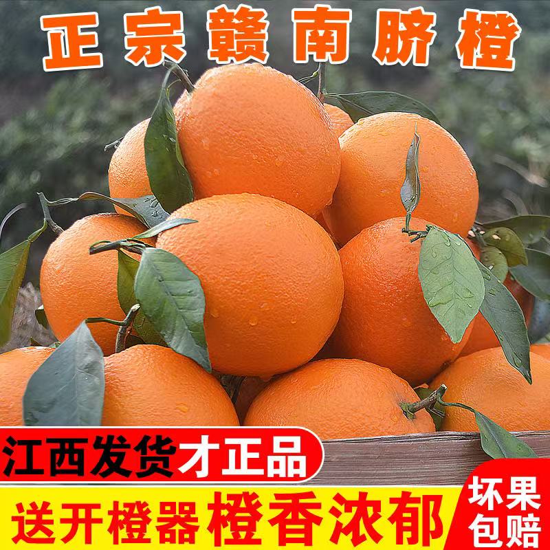 【带枝叶】正宗江西赣南脐橙新鲜现摘多汁香甜当季水果产地直发包邮