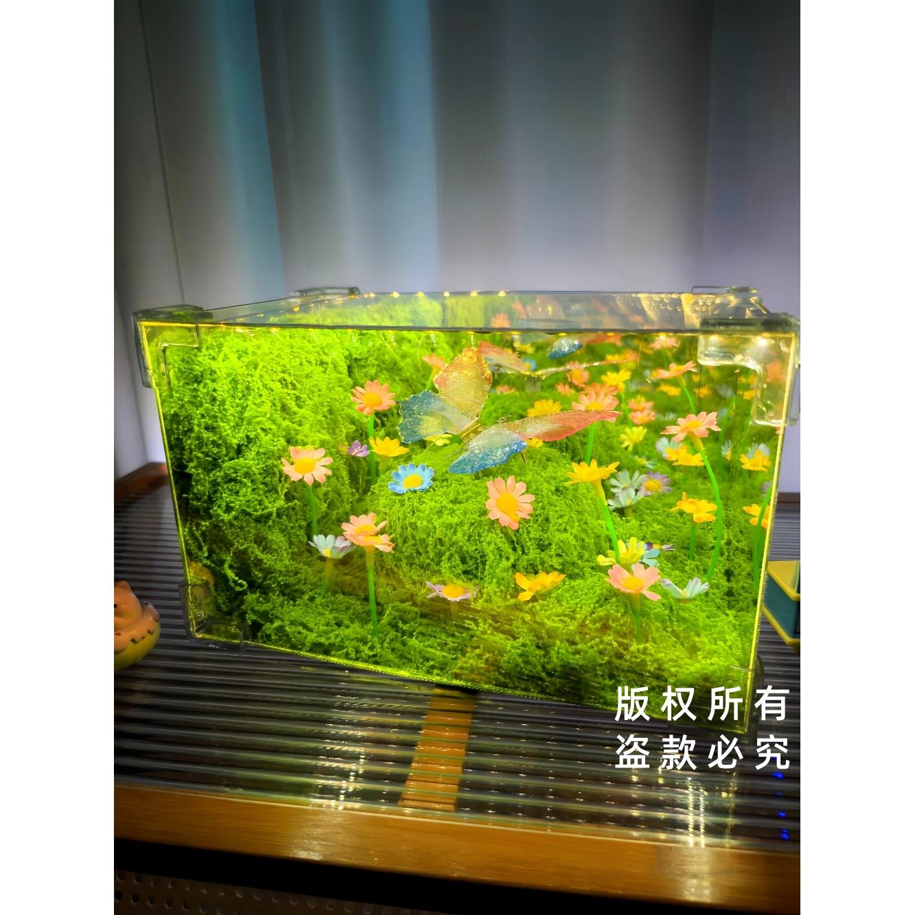 【蝴蝶会动】春日蝴蝶小夜灯手工diy材料包绿野仙踪氛围灯卧室睡眠