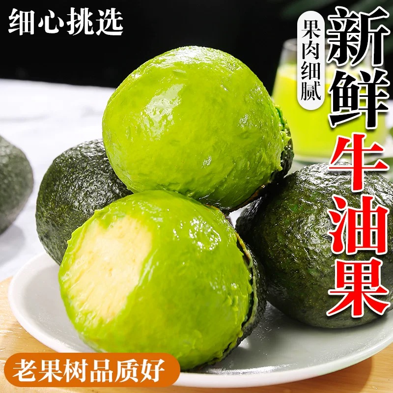 【深林奶油】云南正宗哈斯牛油果新鲜应季水果4-6枚细腻高山种植