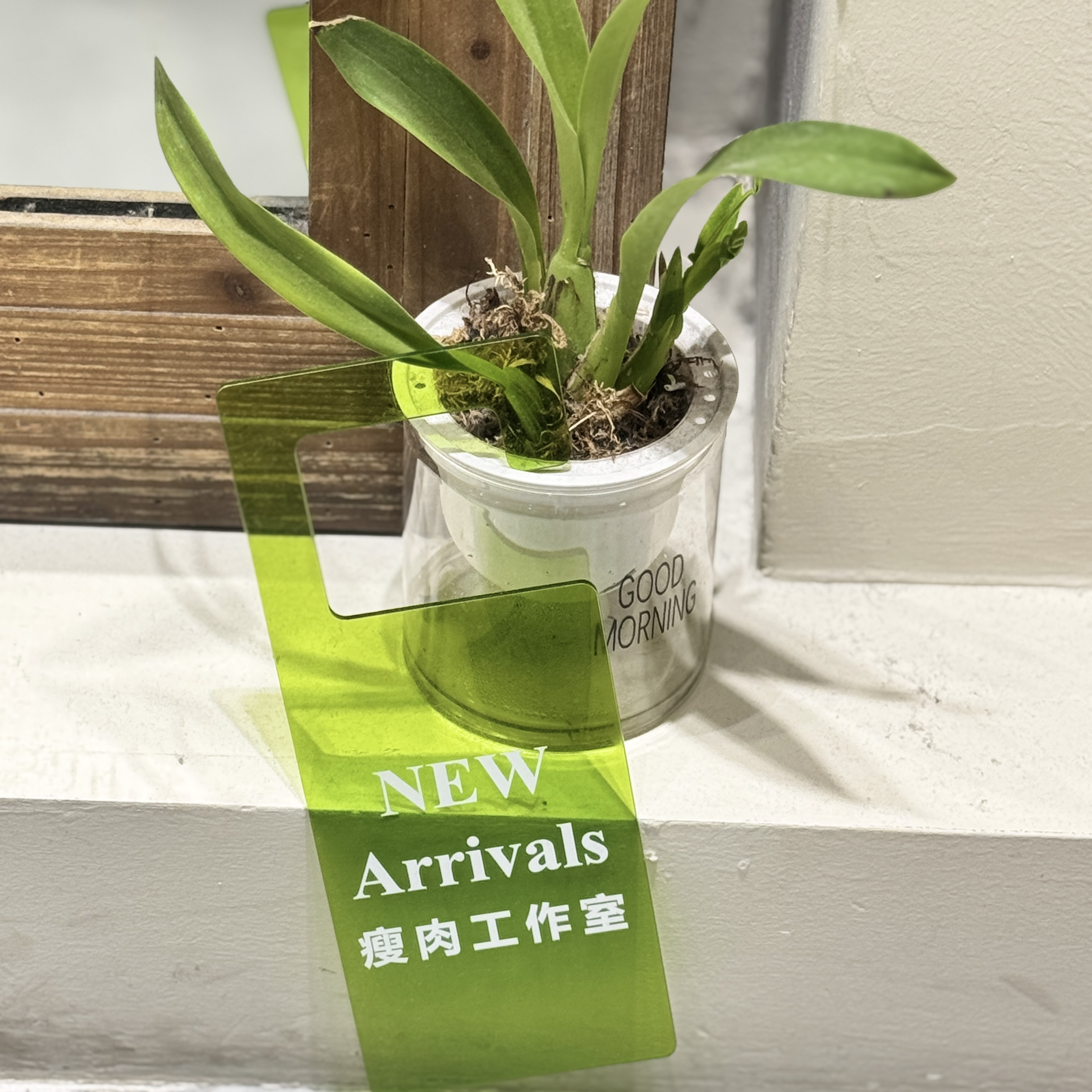 4号链接瘦肉家老产品