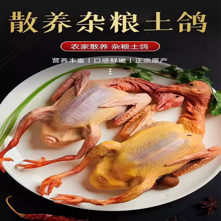 【两只装】现杀现发，农家杂粮鸽子散养，带头带内脏新鲜乳鸽老鸽