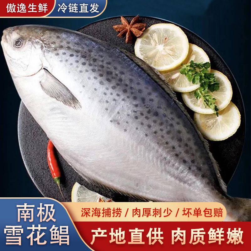 傲逸生鲜雪花鲳鱼 南极雪花鲳 4条装