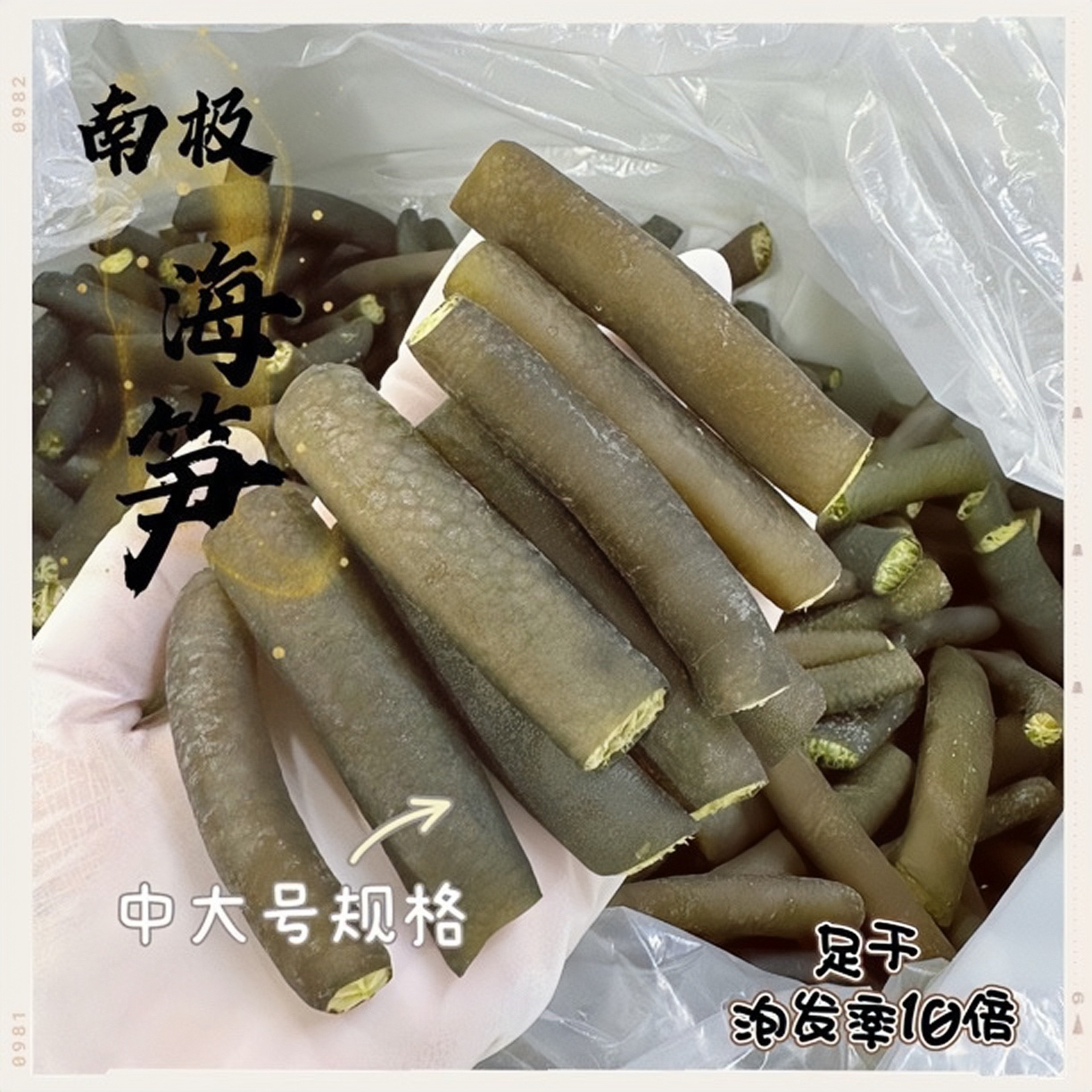 海笋干海松茸冰笋海藻片凉拌素食菜海鲜干货可凉拌海笋干货