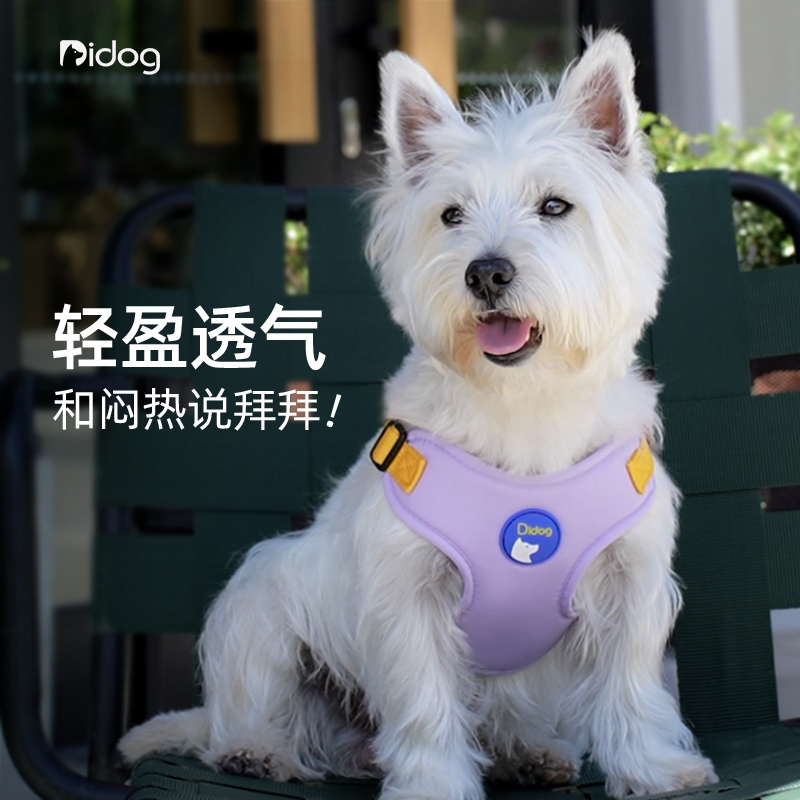 狗狗牵引绳胸背带小型犬背心式透气遛狗绳比熊泰迪柯基小狗狗专用