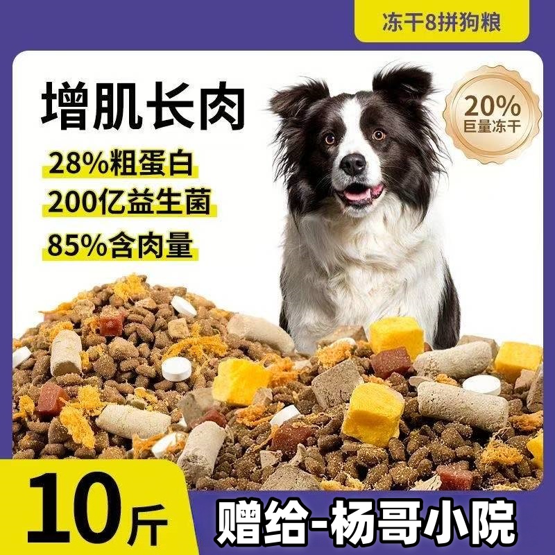 赠狗狗吃的通用营养狗粮