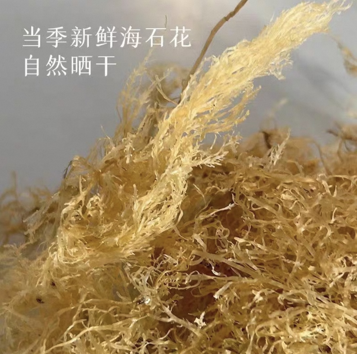 当季新鲜自然晾干海石花菜 冻菜 鸡毛菜 熬凉粉 果冻