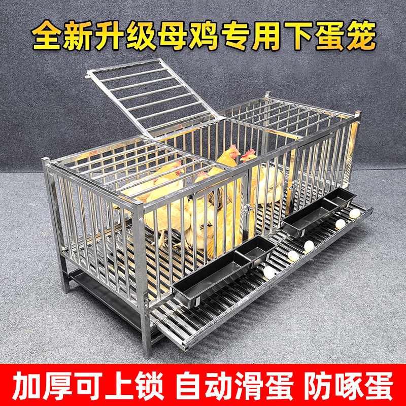 新款加厚不锈钢鸡笼子自动滚蛋养鸡笼家用养殖鸡窝鸡笼子家用型