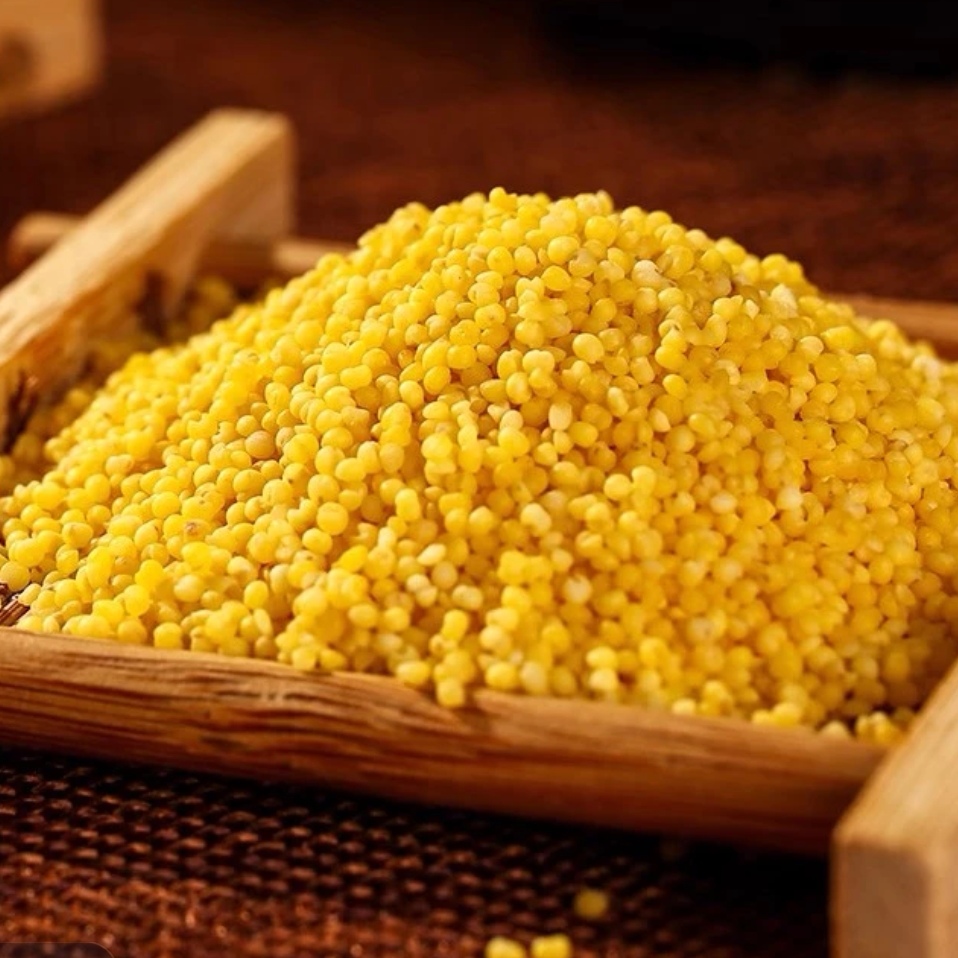 朝阳小米2025新小米 黄小米辽宁朝阳小米 月子米【可以试吃一斤】