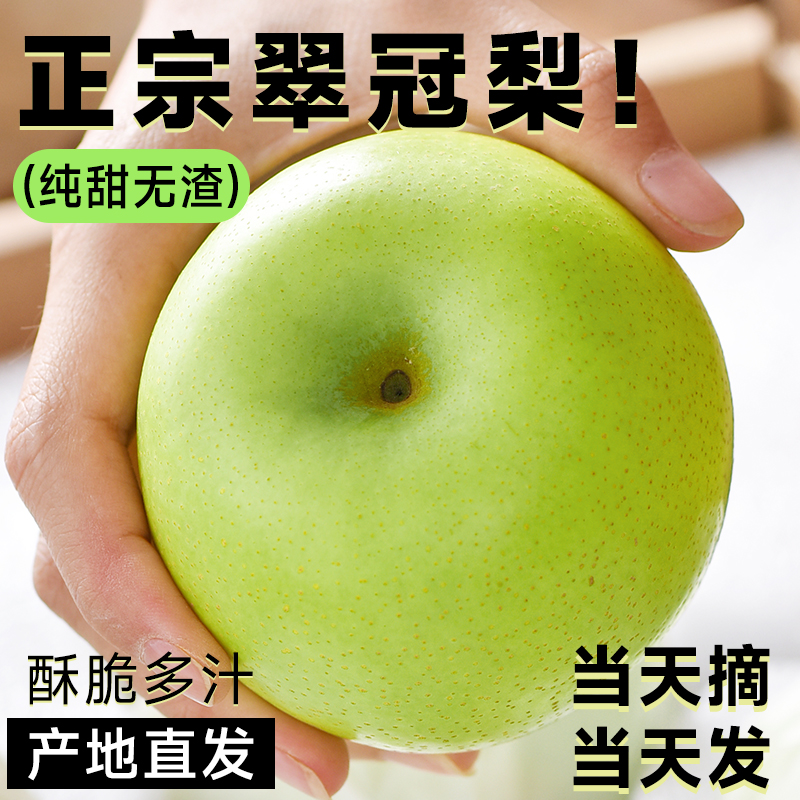 砀山酥梨水果产地直发应当季新鲜梨子整箱10斤批发雪梨翠冠冻青梨