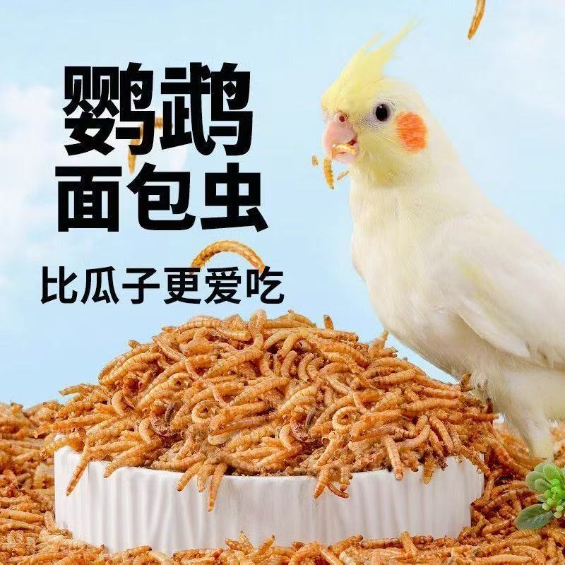 鹦鹉适用面包虫干奖励零食虎皮牡丹玄凤小太阳八哥用品鹦鹉食粮