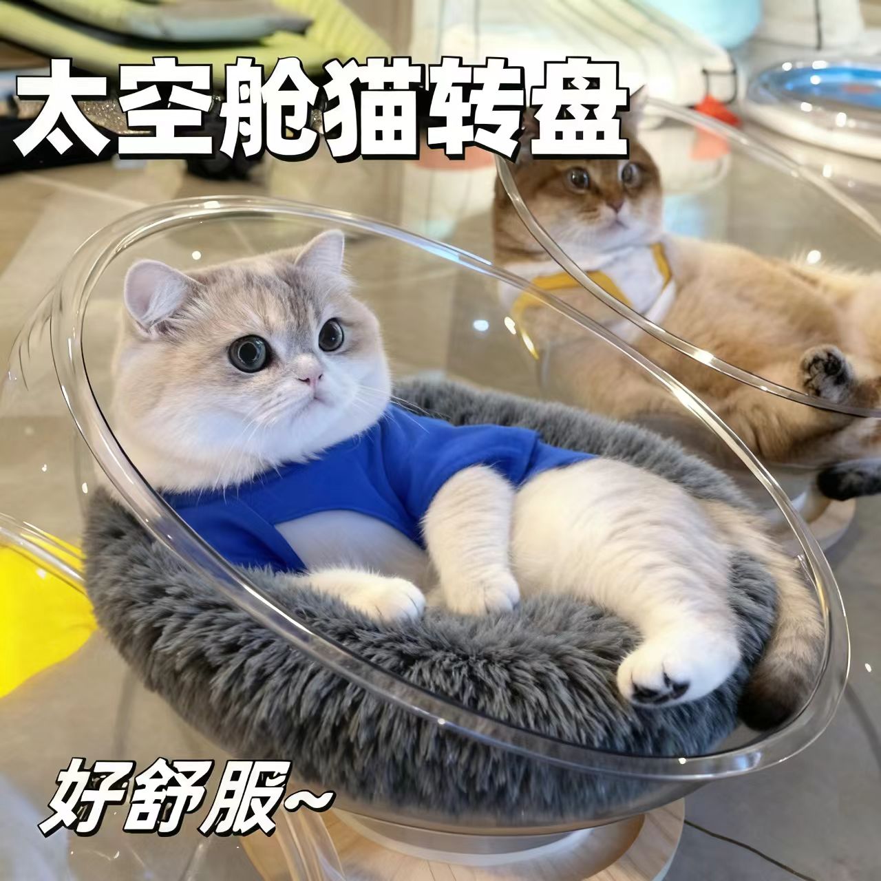 太空舱猫窝冬季加厚保暖宠物必备物品猫咪冬季保暖窝猫玩具床狗窝
