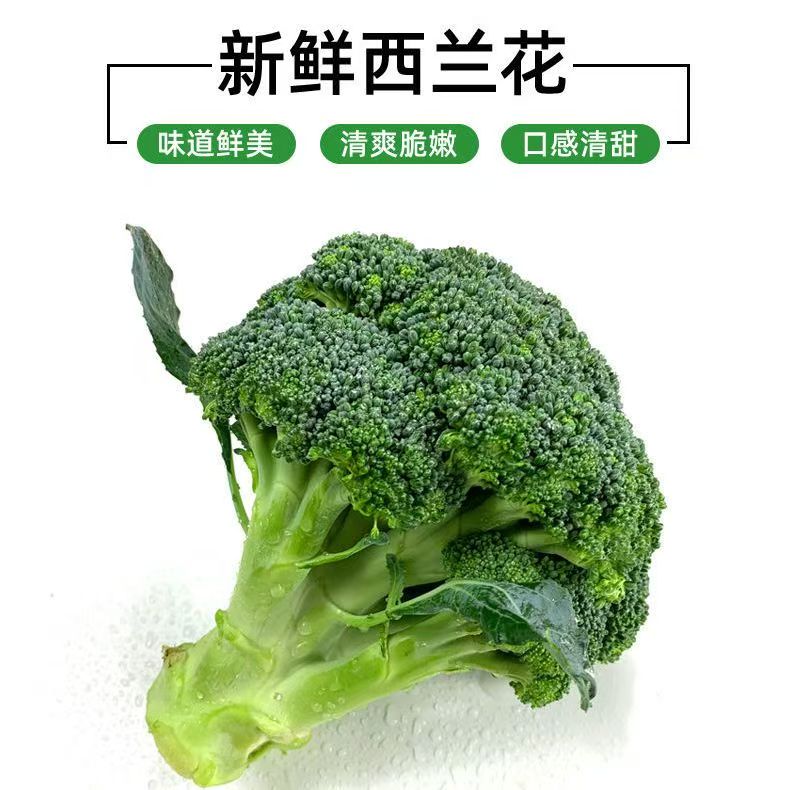 顺丰包邮新鲜西兰花绿色花菜菜花蓝花现摘营养花椰菜减脂蔬菜农家