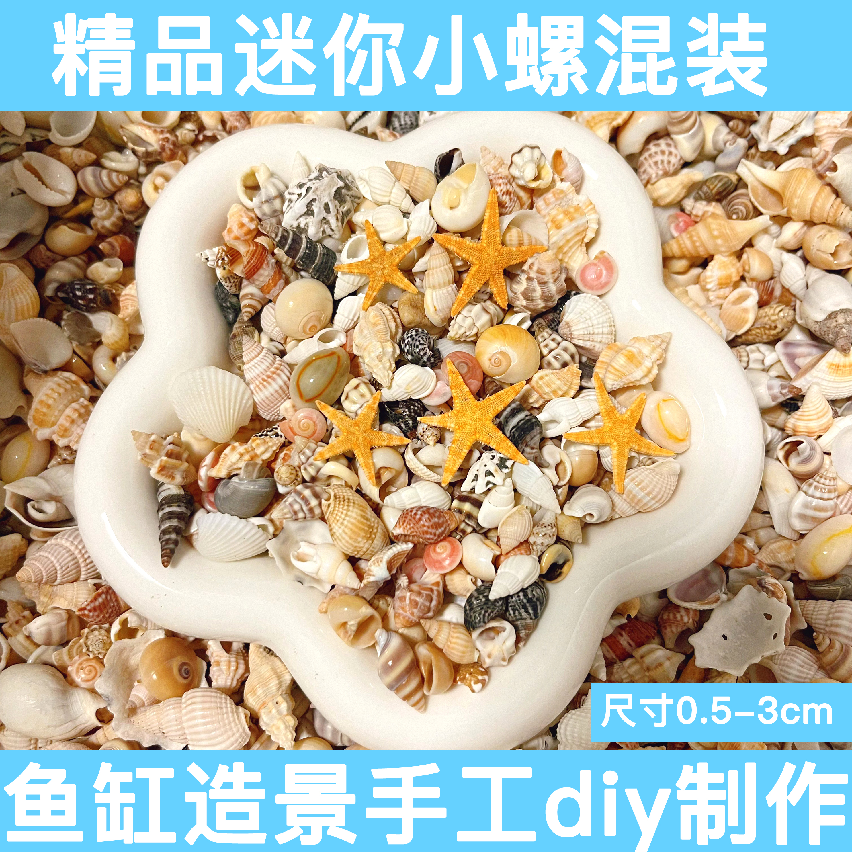 天然贝壳海螺海星鱼缸diy手工艺品景观摆件创意饰品制作配件材料