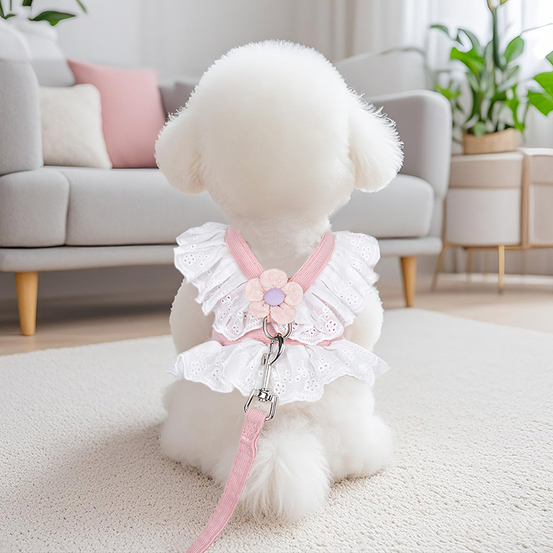 小狗狗牵引绳幼犬专用小泰迪遛狗绳网红胸背带外出夏季背心式狗绳