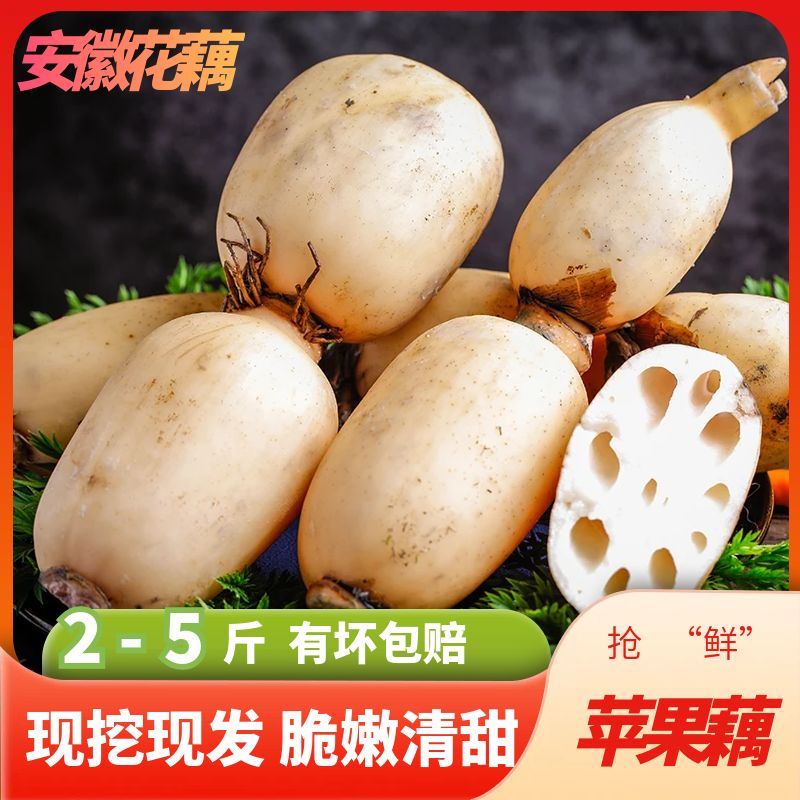 安徽花藕江水湖区苹果藕嫩莲藕生吃脆藕现挖凉拌特产新藕煲汤藕