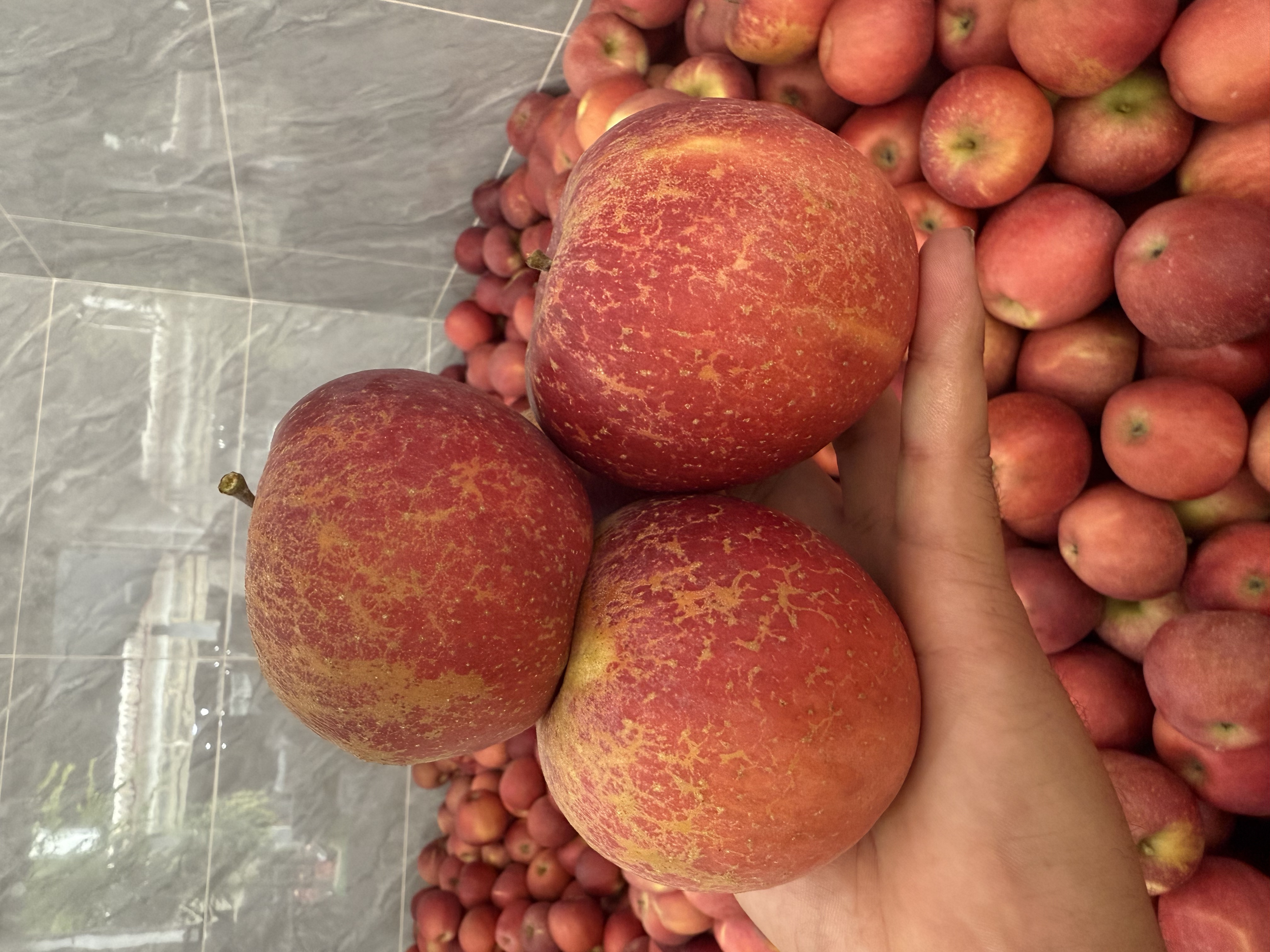 2025新鲜云南昭通丑苹果红富士脆甜净重5斤包邮