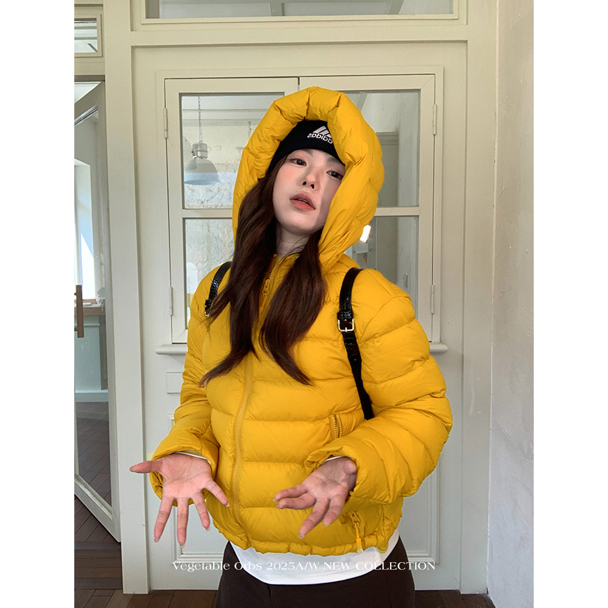 2025冬季新款小众简约百搭连帽排骨棉服女显瘦减龄短款保暖棉衣潮