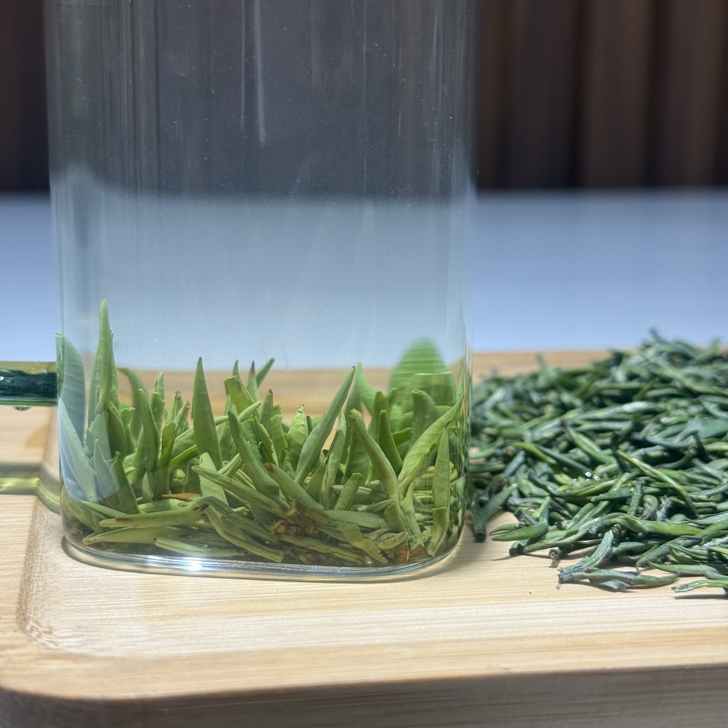 高山店铺雀舌绿茶嫩芽明前春茶清香回甘茶叶G款