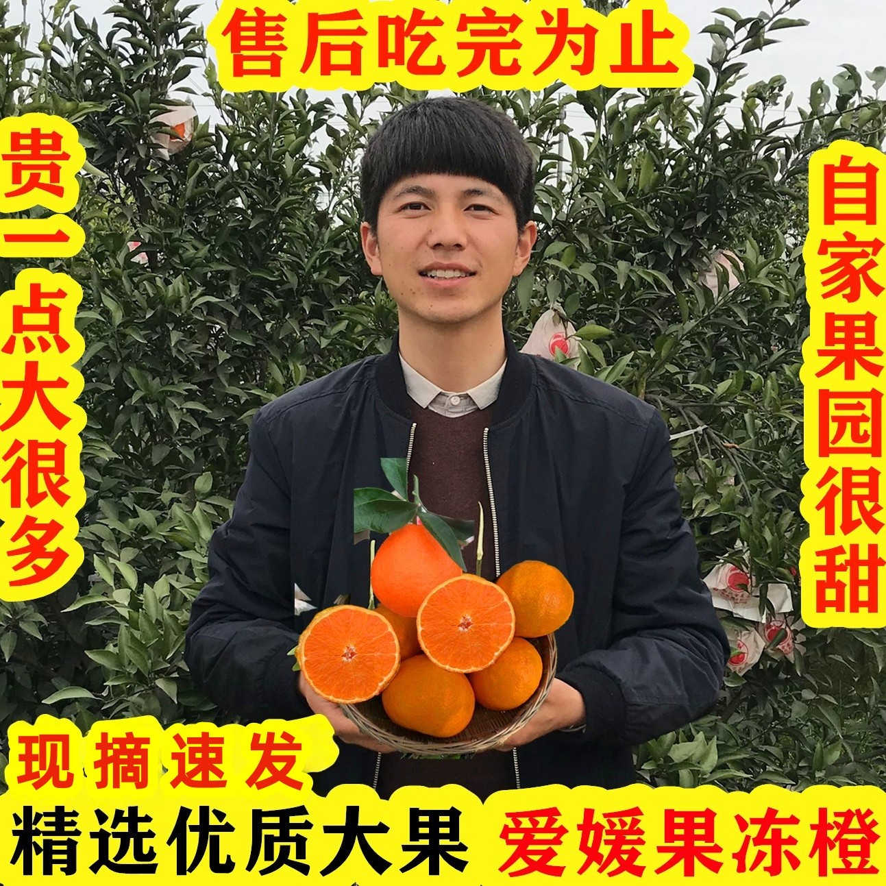 四川爱媛38号果冻橙大果正宗新鲜孕妇水果当季红美人甜橙