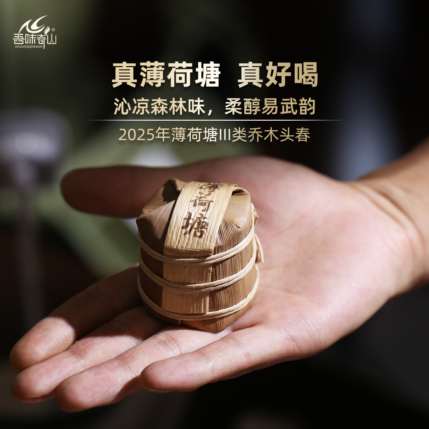 吾味奇山2025头春3类易武薄荷塘三类普洱茶生茶小饼35g滥田薄荷塘