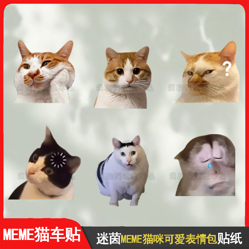 迷因MEME猫咪可爱惊讶搞笑表情包车贴猴子宠物车窗电动车装饰贴纸