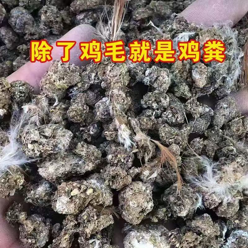 纯干鸡粪养花盆栽种菜瓜果蔬菜天然农家有机肥家用发酵鸡粪大批发