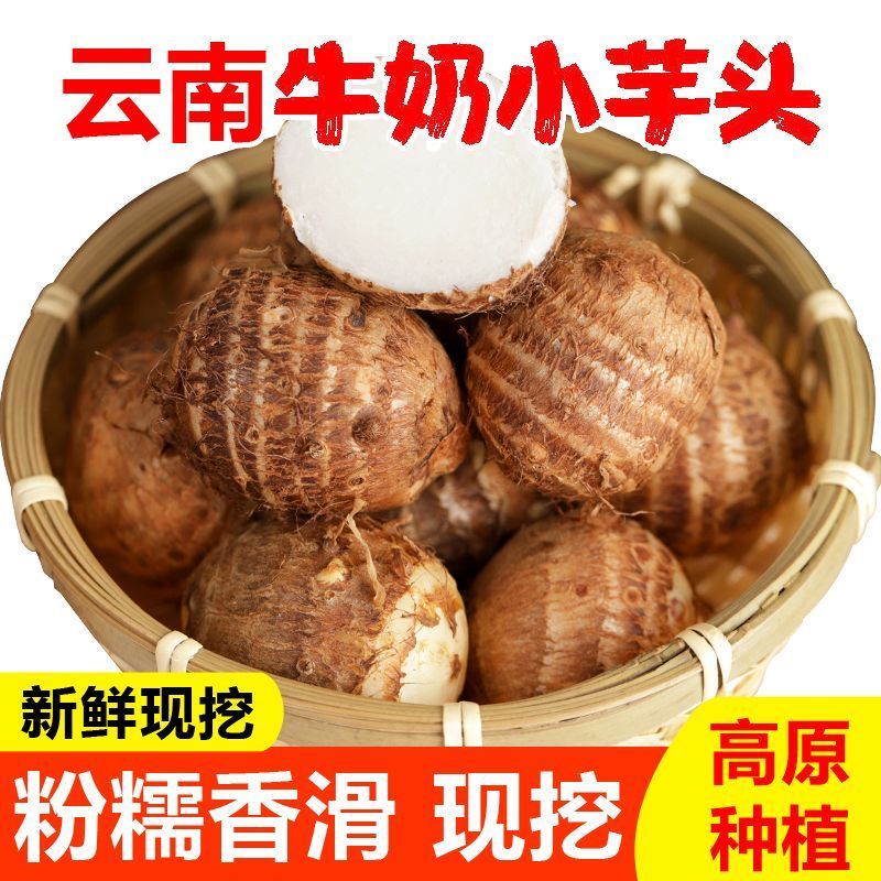 正宗云南牛奶小芋头毛芋头芋艿香糯新鲜现挖当季蔬菜整箱批发
