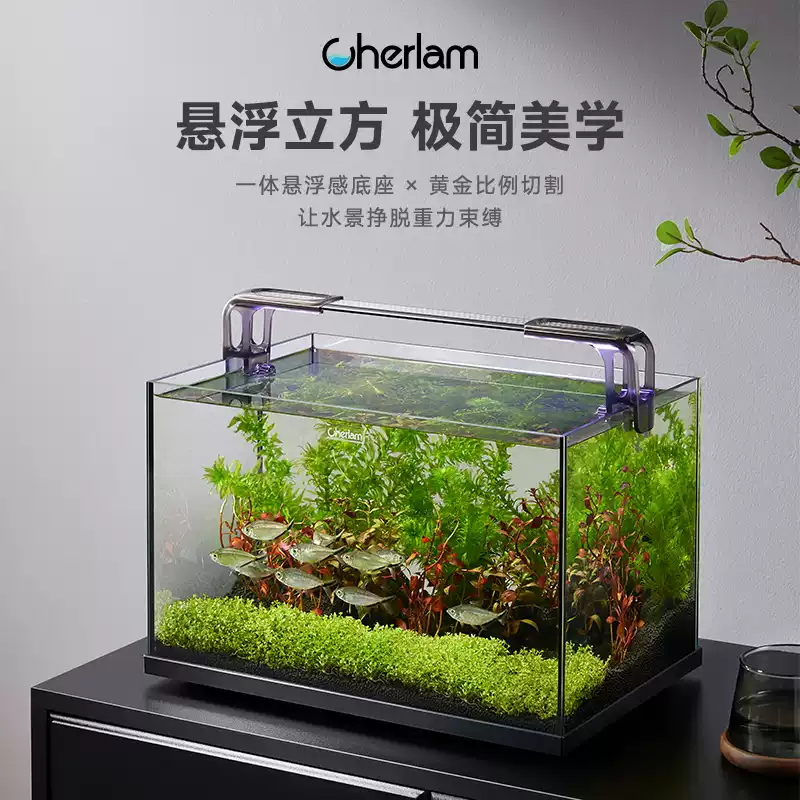 彻朗鱼缸家用桌面客厅小型电视柜旁超白生态过滤深水乌龟缸养龟