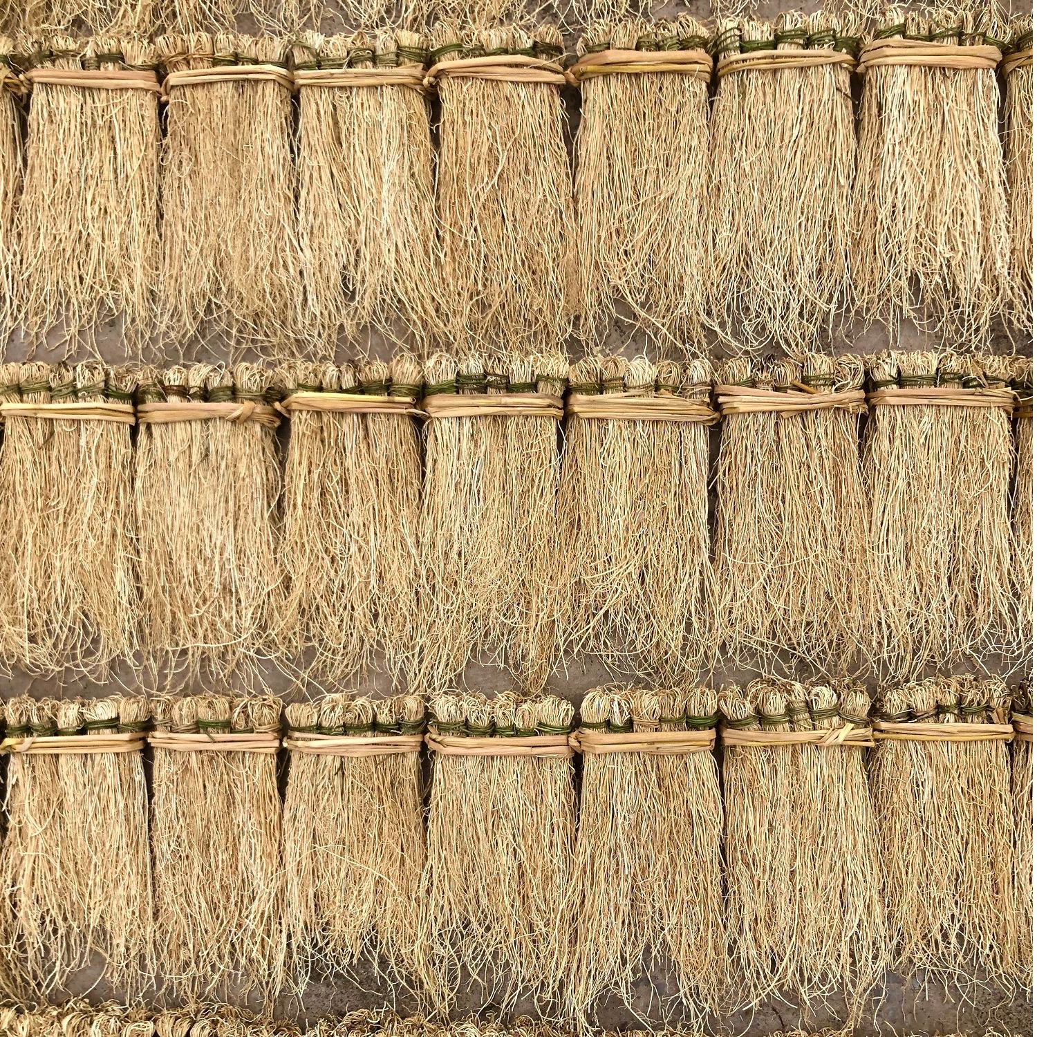 广东特产养干草丝线根护干草龙须草酒店食材汤料1G鸡汤精选浓香