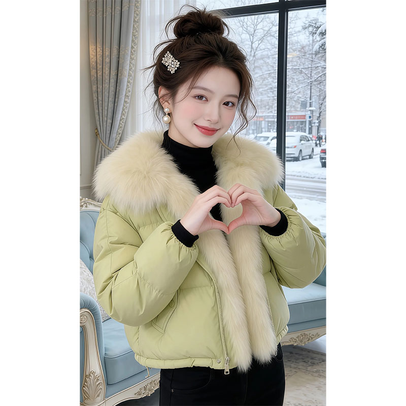 【绿野仙踪】大毛领棉服女2026冬季新款气质御寒保暖棉衣外套