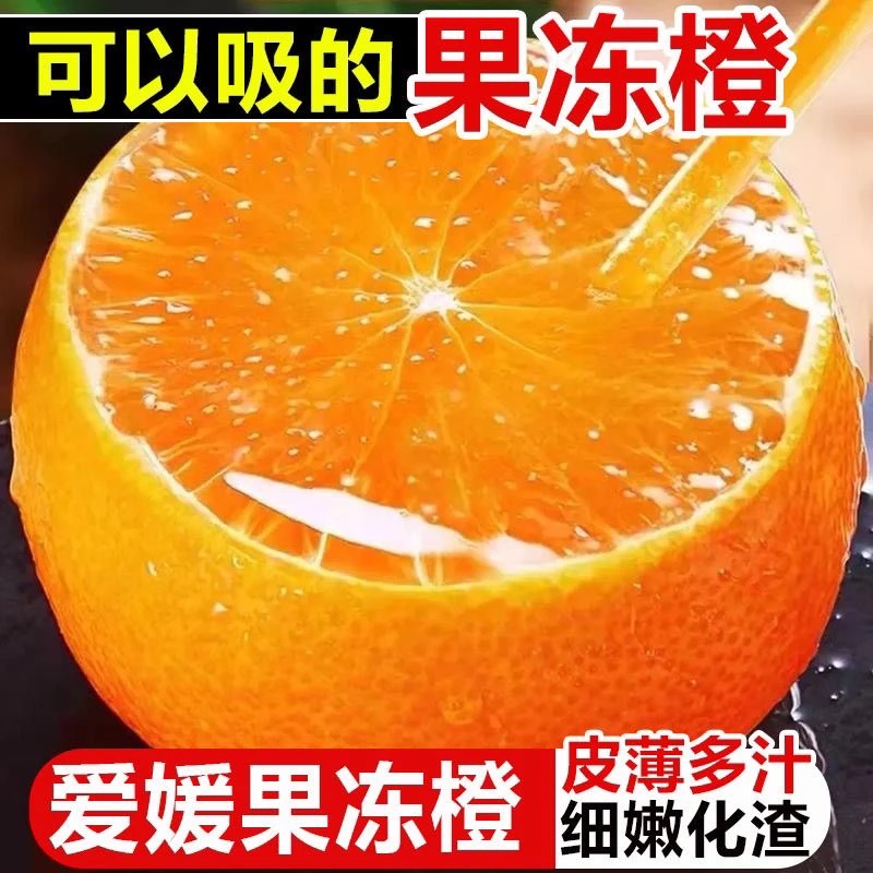 四川爱媛38号果冻橙新鲜现摘汁水充足酸甜爆汁