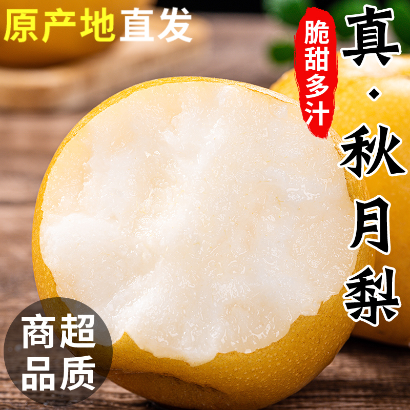 正宗秋月梨中秋新鲜现摘现发脆甜多汁当季水果维C产地直发包邮