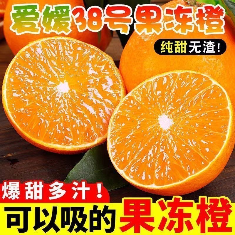 四川爱媛38号果冻橙新鲜现摘应季水果爆甜多汁无籽无渣（SGG）